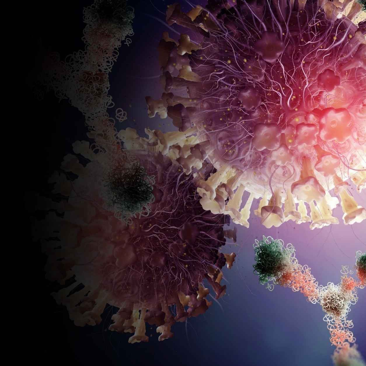 VirScan Exposome